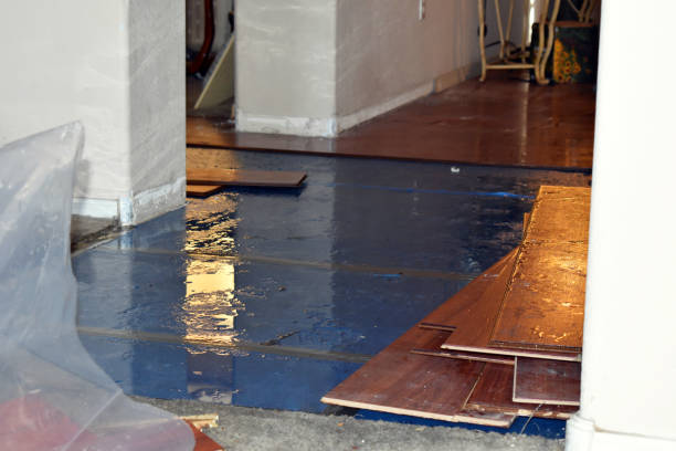 Professional Basement Water Removal technician working in Lyndhurst, VA